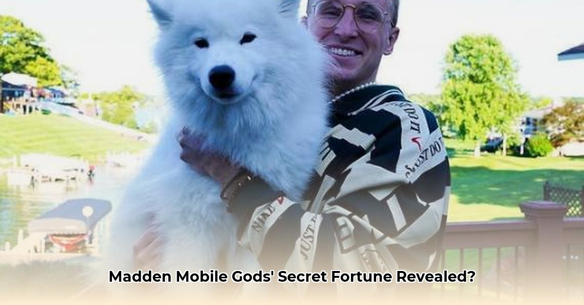 matthew-meagher-net-worth